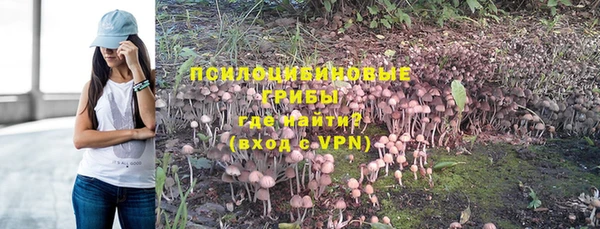 экстази Заводоуковск
