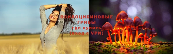 крисы Заволжье