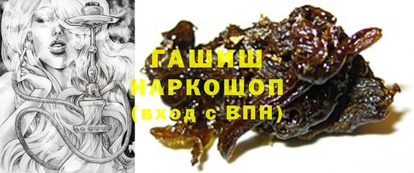 хмурый Ельня