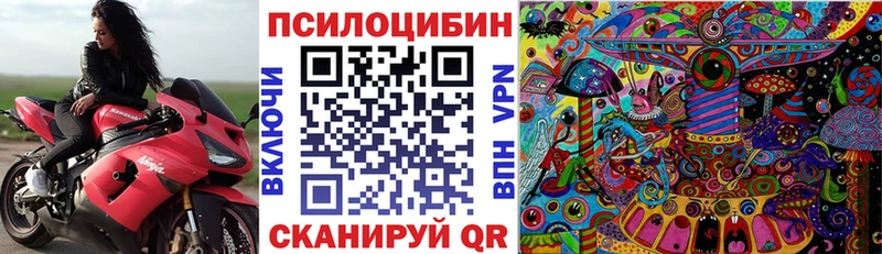 Псилоцибиновые грибы Psilocybe  наркотики  Карачев 